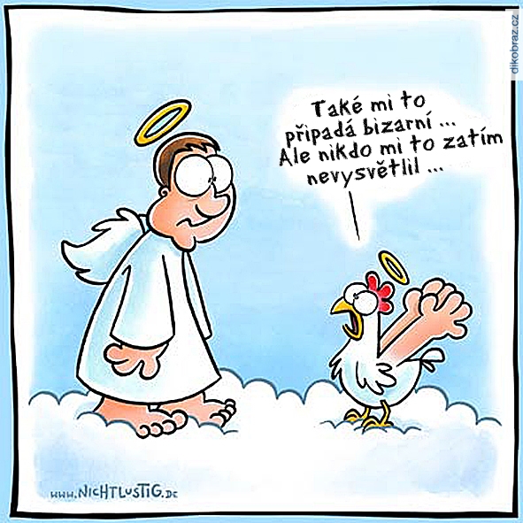 Joscha Sauer vtipy č.63989 - 