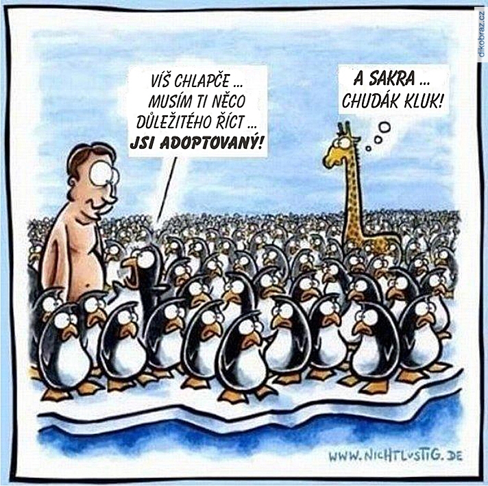 Joscha Sauer vtipy č.63996 - 