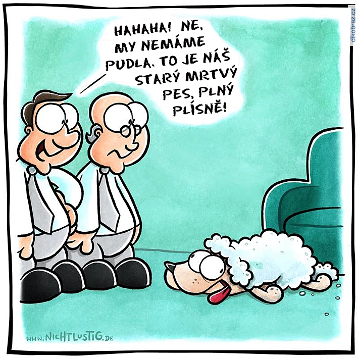 Joscha Sauer vtipy č.78253 - 