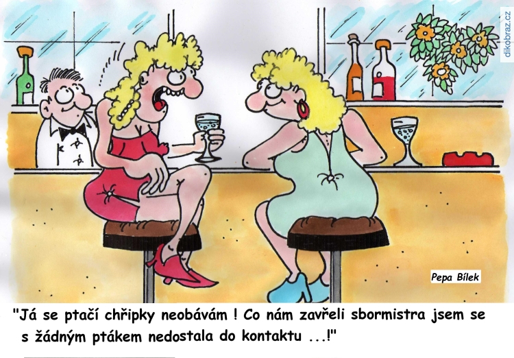 Josef Bílek vtipy č.8802 - 