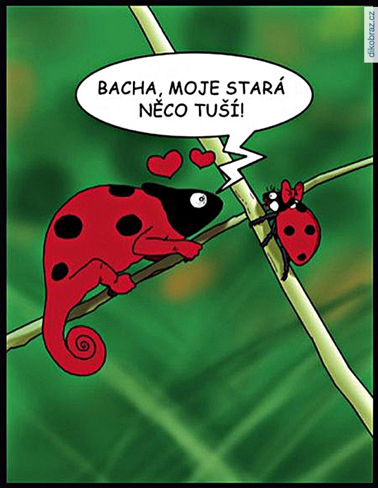 Josef Fraško vtipy č.97803 - 
