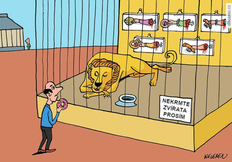 Kelemen Istvan vtipy č.34874 - 