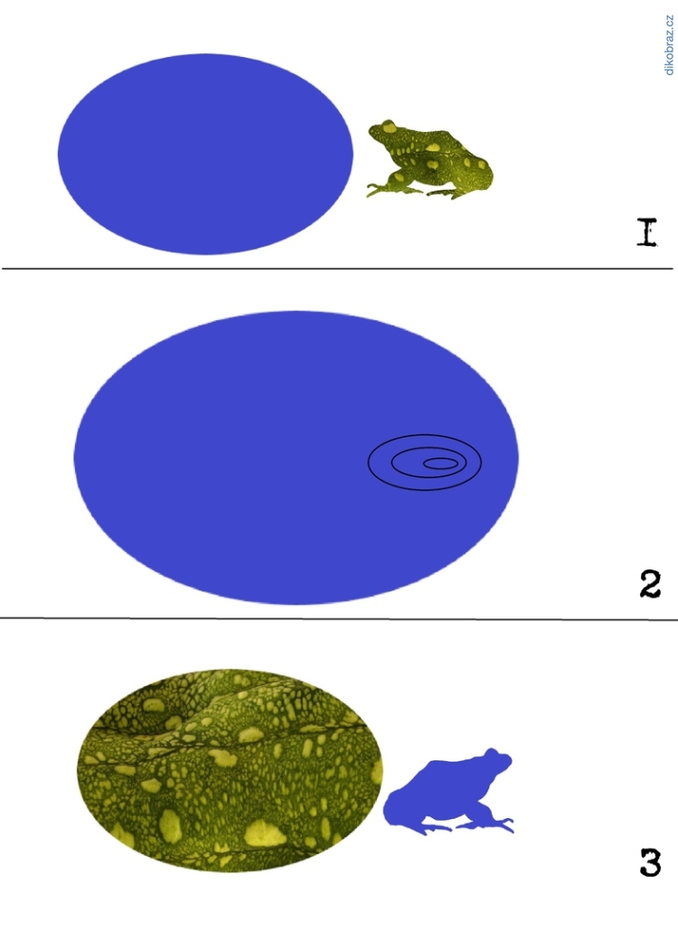 Konstantin Chakhirov vtipy č. - 