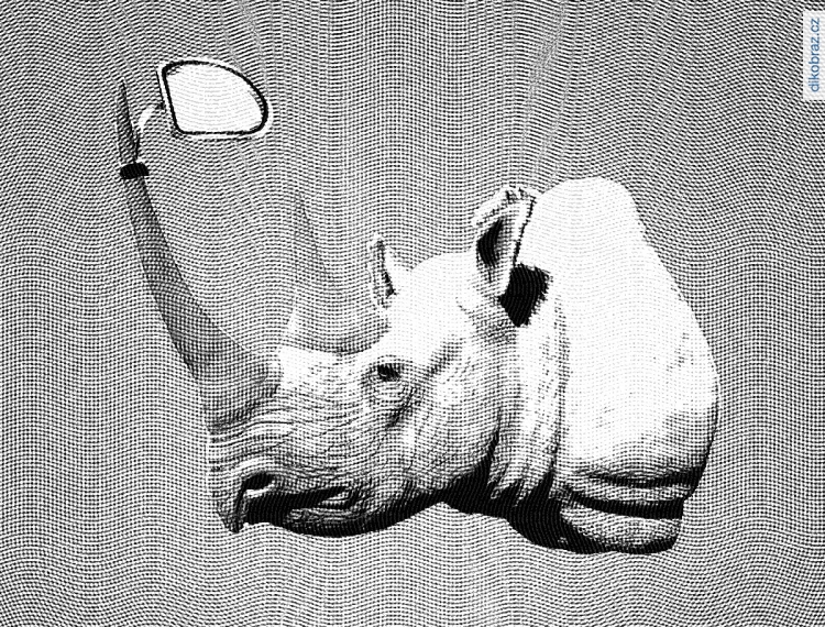 Konstantin Chakhirov vtipy č.68305 - 