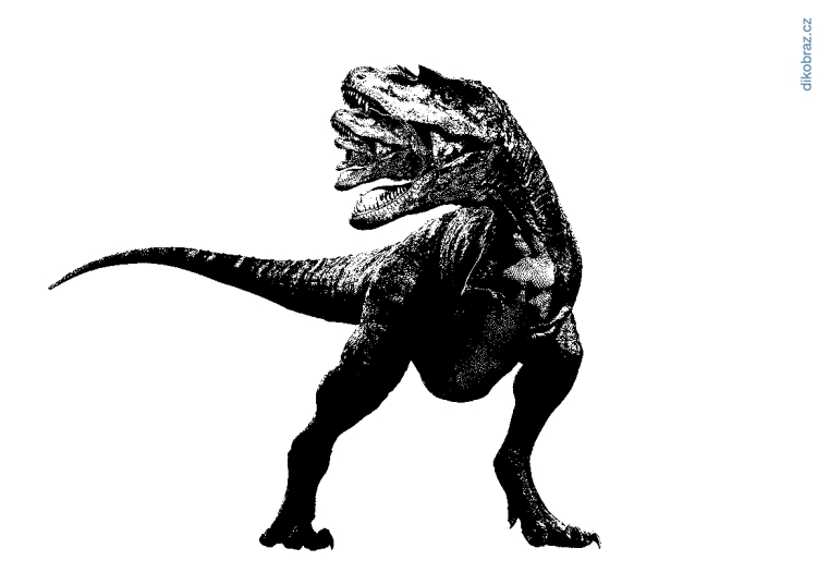 Konstantin Chakhirov vtipy č.70426 - 