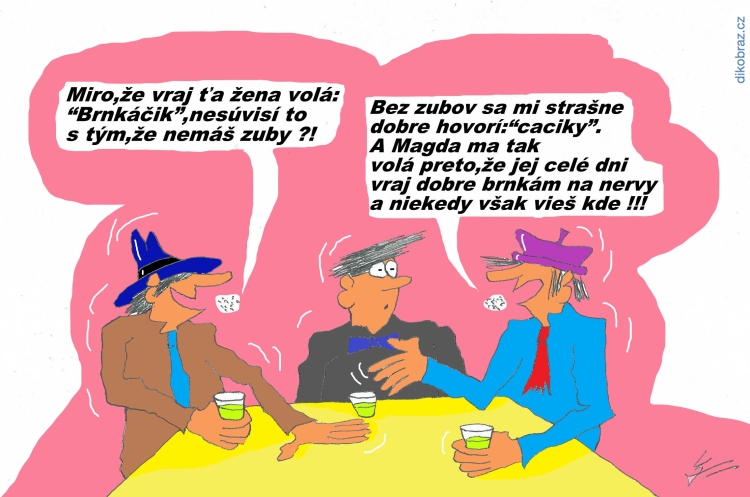 Ladislav Talčîk vtipy č. - 