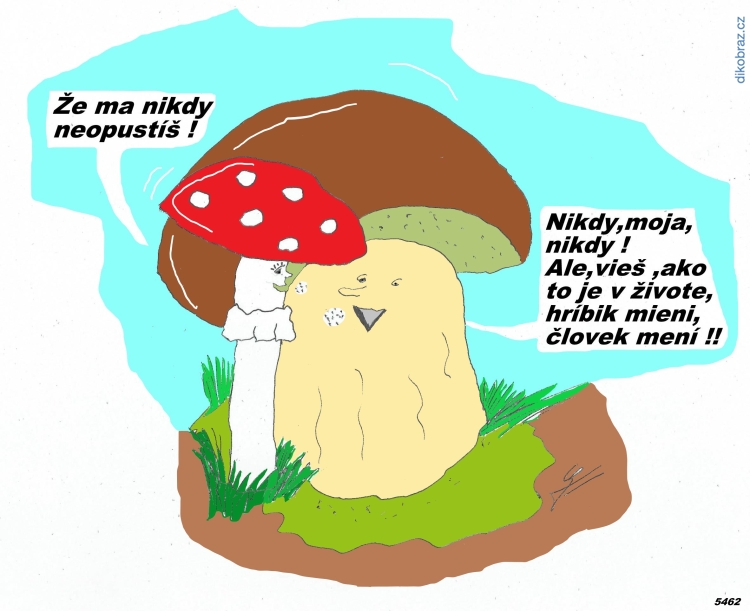 Ladislav Talčîk vtipy č. - 