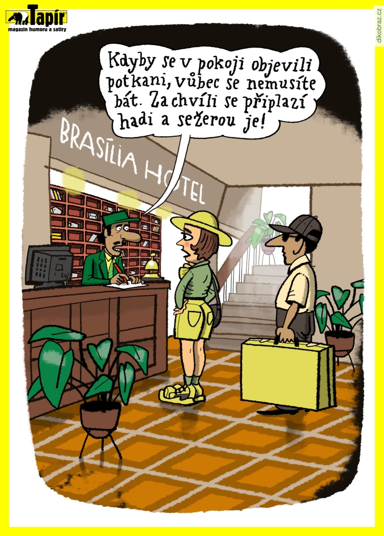 Lukáš Fibrich vtipy č.10114 - 