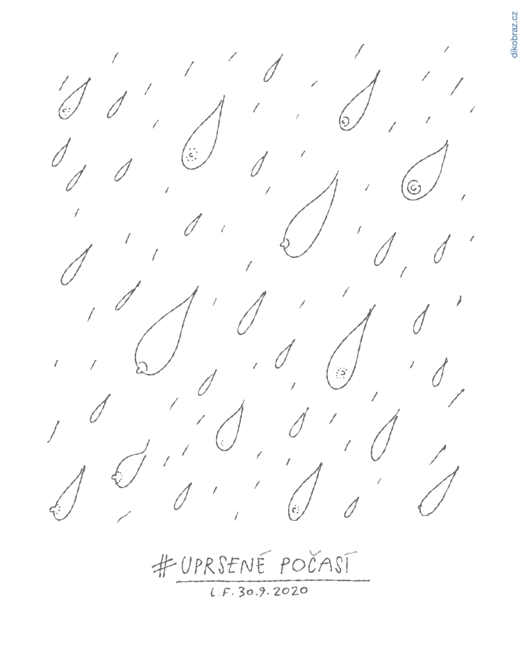 Lukáš Fibrich vtipy č.15063 - 