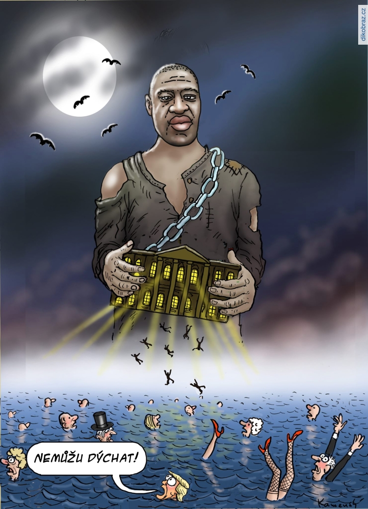 Marian Kamensky vtipy č.8978 - Demonstrace proti policejnímu násilí a rasismu