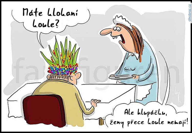 Mario Lars vtipy č.104453 - 