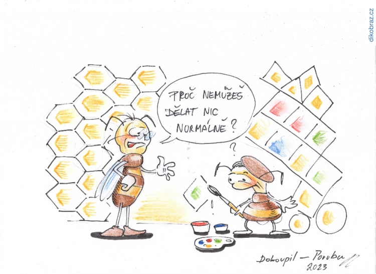 Martin Dokoupil vtipy č.71565 - 