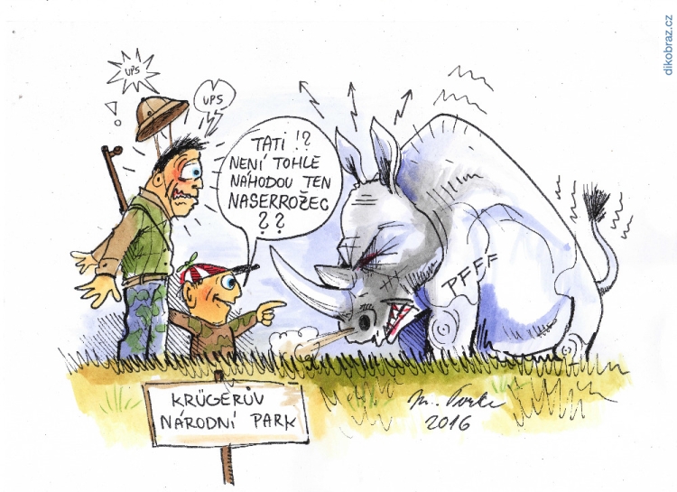 Martin Dokoupil vtipy č.71569 - 