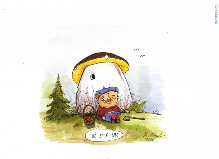 Martin Dokoupil vtipy č.71570 - 