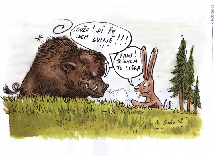 Martin Dokoupil vtipy č.71576 - 