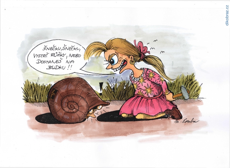 Martin Dokoupil vtipy č.71577 - 