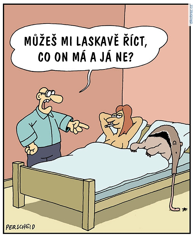 Martin Perscheid vtipy č.63896 - 