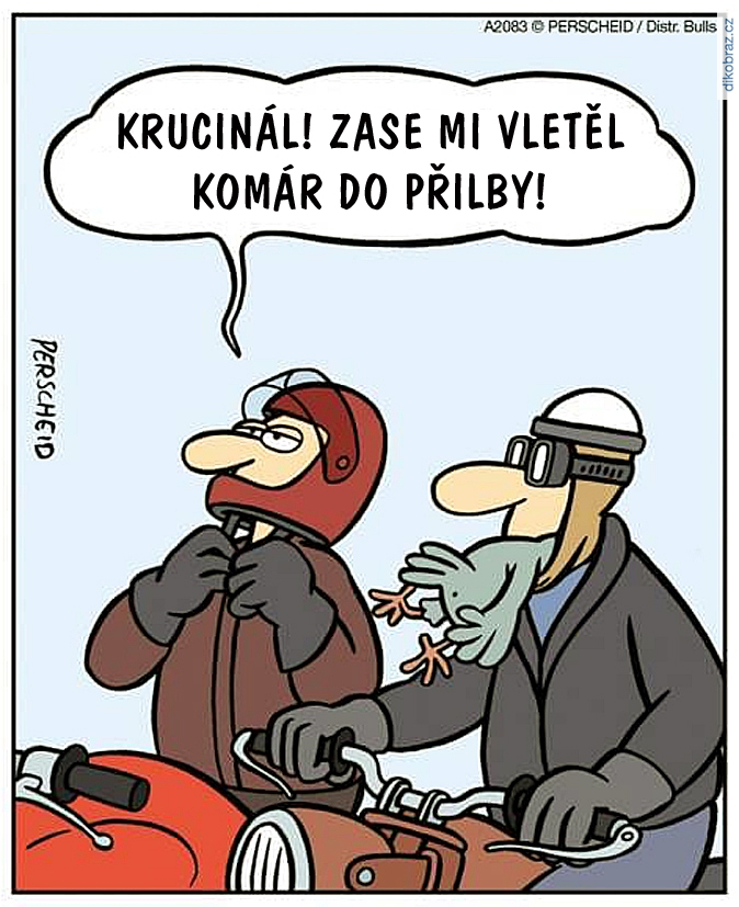 Martin Perscheid vtipy č.64901 - 