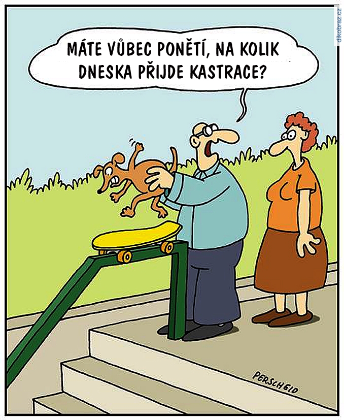 Martin Perscheid vtipy č.66272 - 