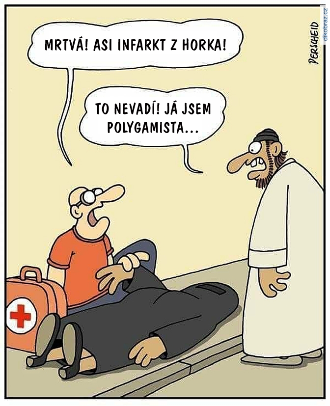 Martin Perscheid vtipy č.67061 - 