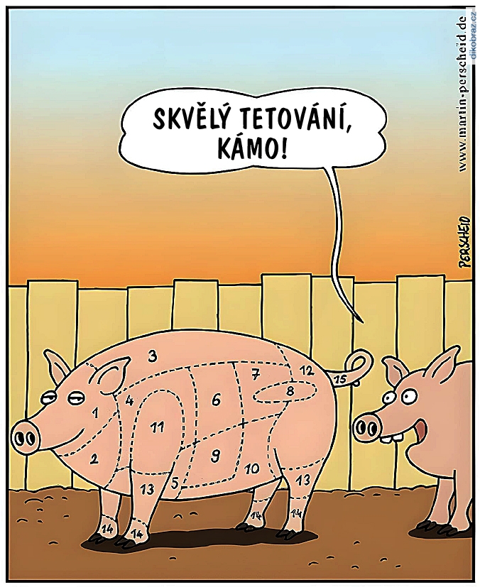 Martin Perscheid vtipy č.67138 - 