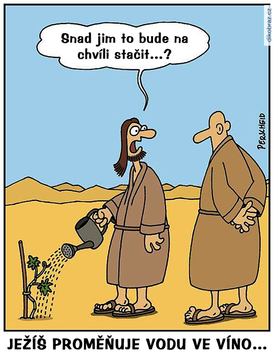 Martin Perscheid vtipy č.67401 - 