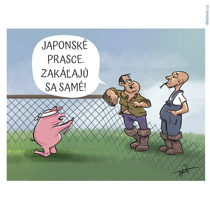 Martin Pollak vtipy č.55241 - 