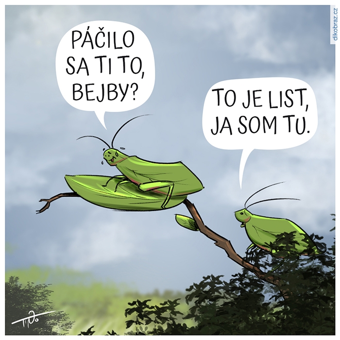 Martin Pollak vtipy č.58519 -