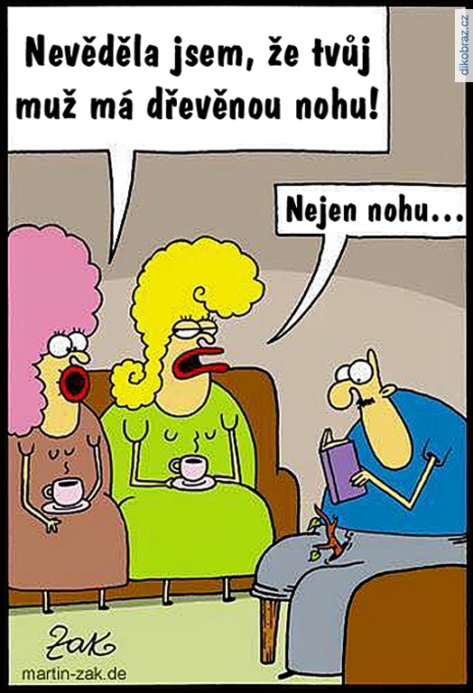 Martin Zak vtipy č.74598 - 