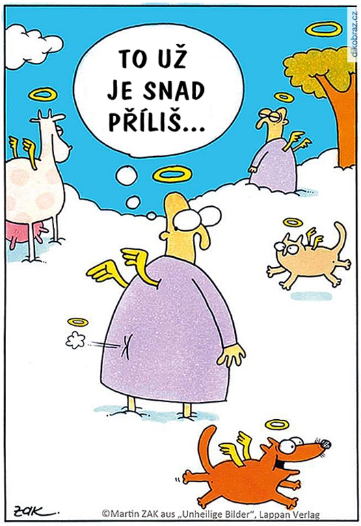Martin Zak vtipy č.74959 - 