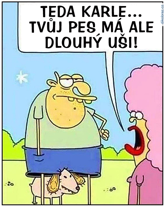 Martin Zak vtipy č.82815 - 