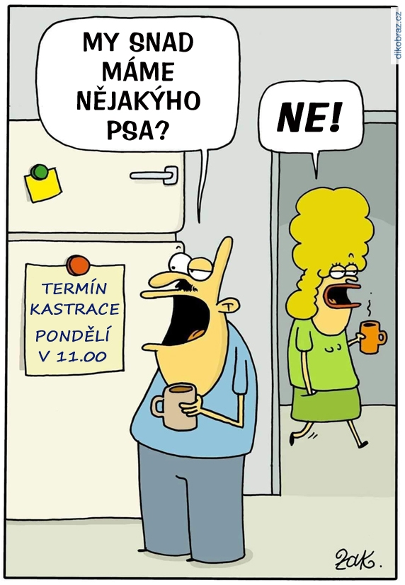 Martin Zak vtipy č.82816 - 