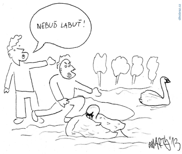 Martyho Frky vtipy č.1279 - 