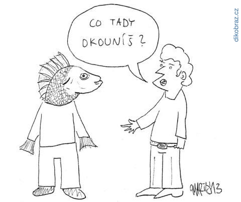 Martyho Frky vtipy č.1376 - 