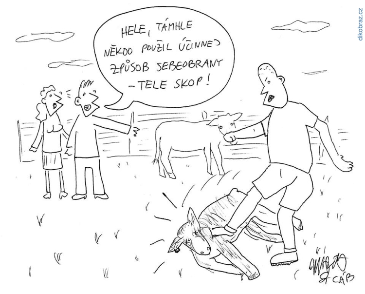 Martyho Frky č. - 