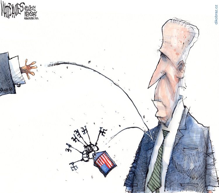 Matt Davies vtipy č.27261 - Americké volby 2020