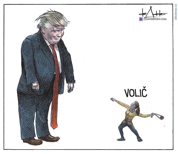 Michael De Adder vtipy č.20032 - Americké volby 2020