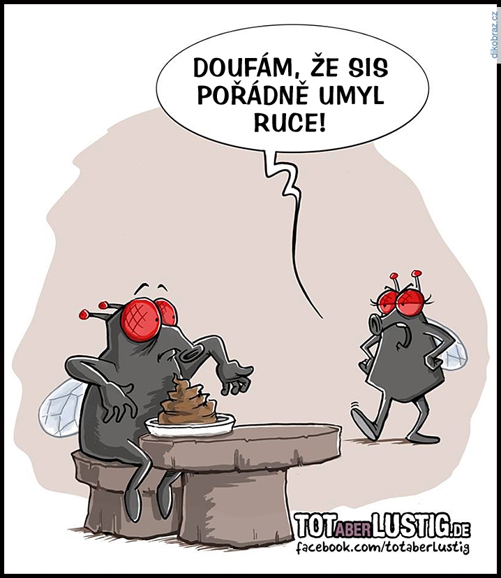 Michael Holtschulte vtipy č.52634 - 