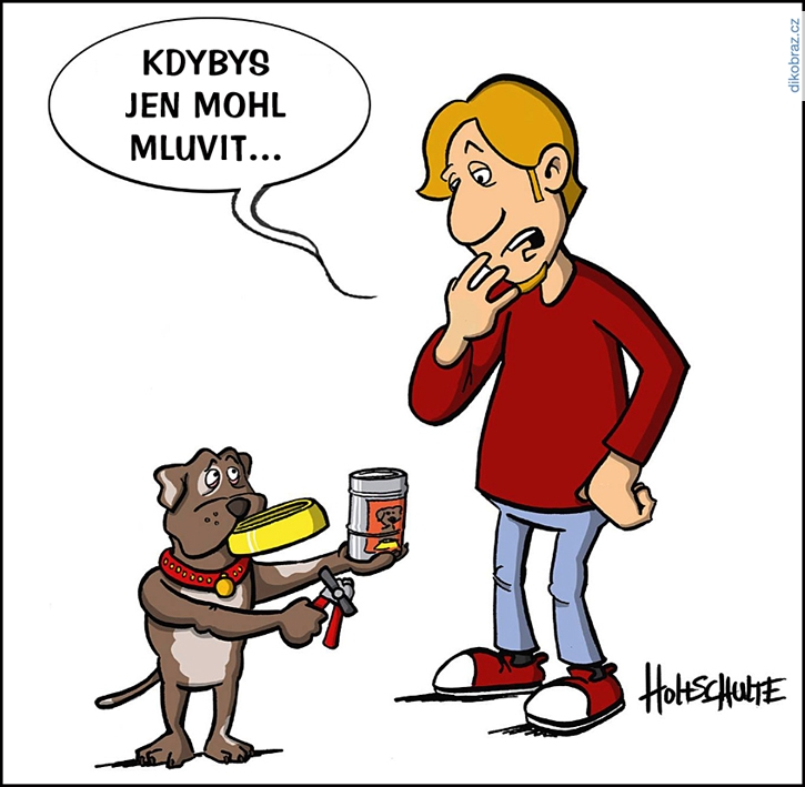 Michael Holtschulte vtipy č.82226 - 