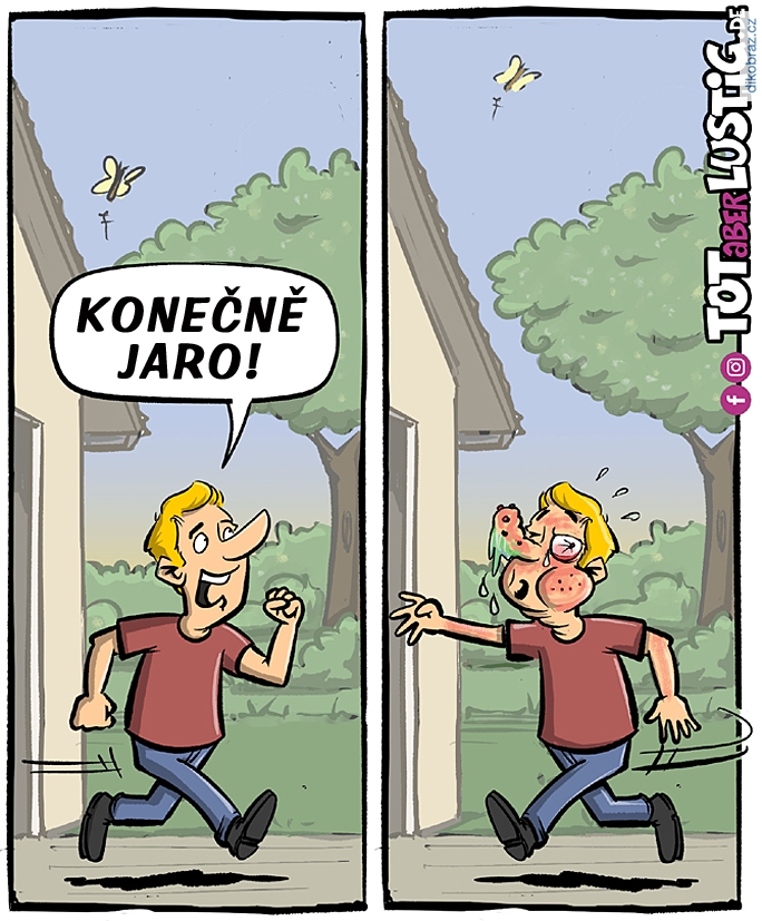 Michael Holtschulte vtipy č.88455 - 