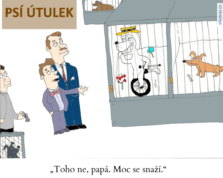 Michal Ryba vtipy č. - 