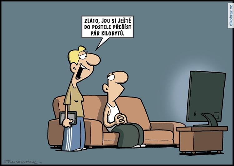 Miguel Fernandez vtipy č.51928 - 