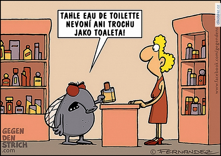 Miguel Fernandez vtipy č.51936 - 