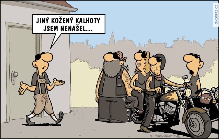 Miguel Fernandez vtipy č.51983 - 