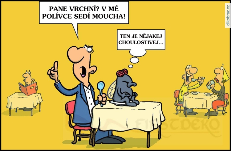 Miguel Fernandez vtipy č.52010 - 