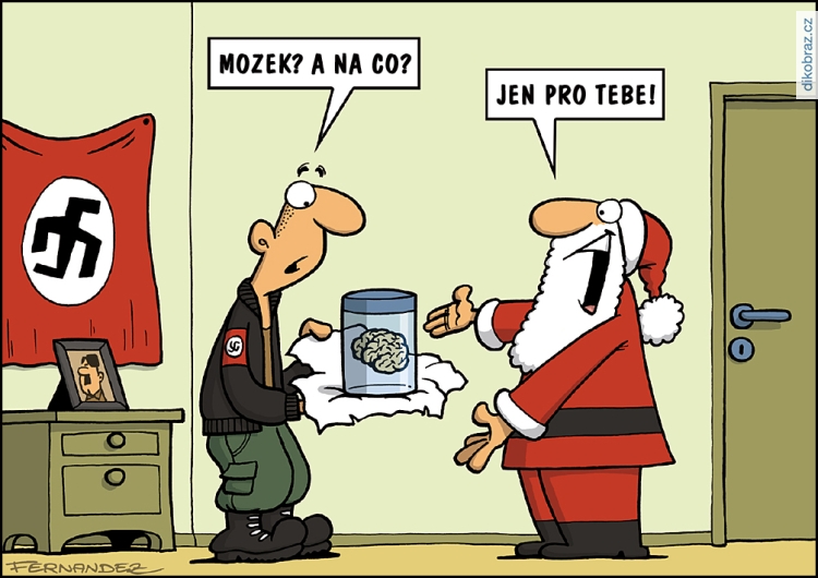 Miguel Fernandez vtipy č.52011 - 