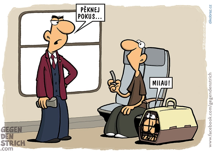 Miguel Fernandez vtipy č.52052 - 