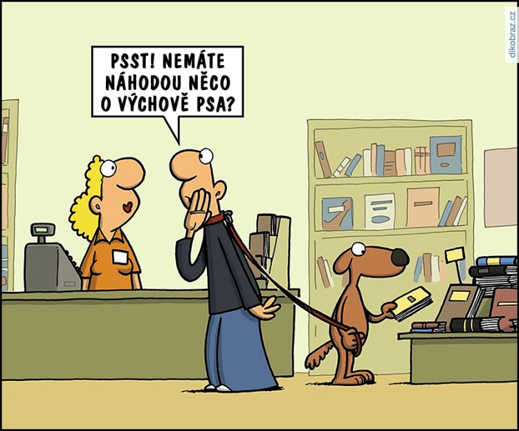 Miguel Fernandez vtipy č.52161 - 