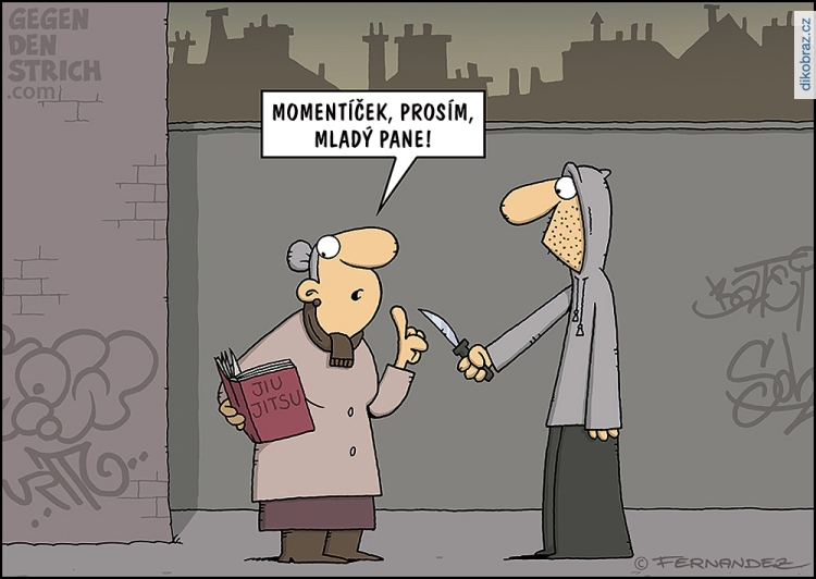 Miguel Fernandez vtipy č.63464 -