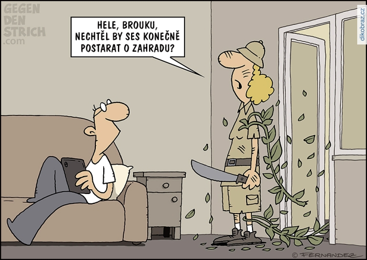 Miguel Fernandez vtipy č.64188 - 